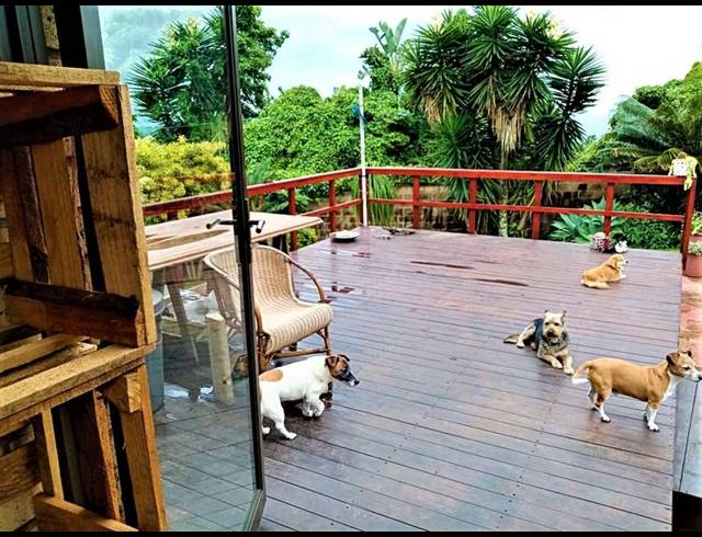 8 BEDROOM HOUSE FOR SALE IN FREELAND PARK